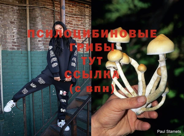 синтетический гашиш Магадан