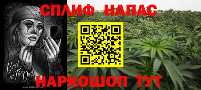 mdma Гатчина