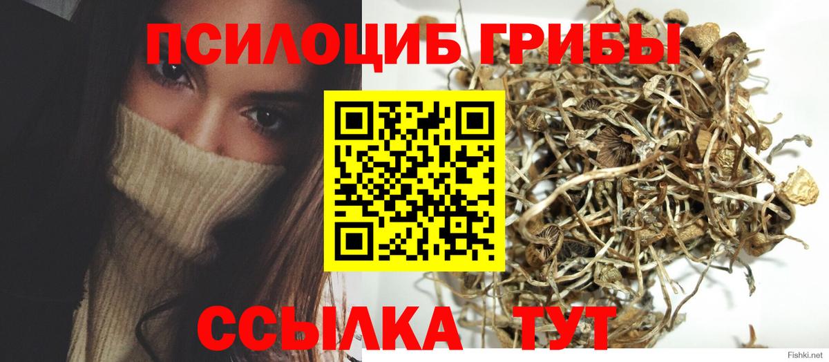 Псилоцибиновые грибы Psilocybe  Галлюциногенные грибы Magic Shrooms  Ангарск 
